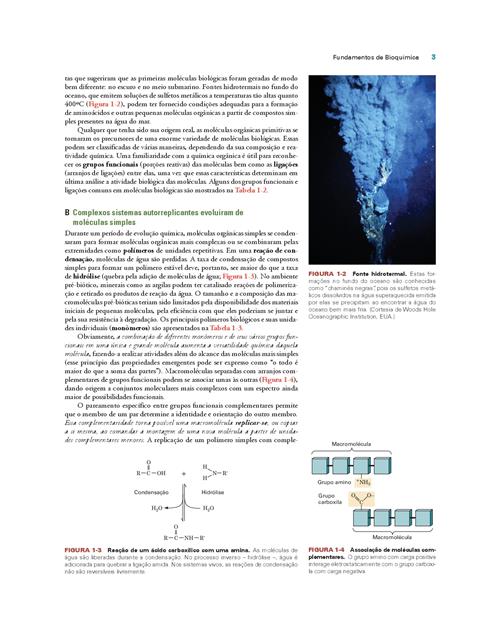 Fundamentos de Bioquímica