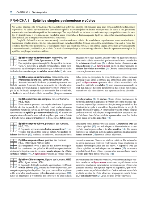 Atlas de Histologia Descritiva