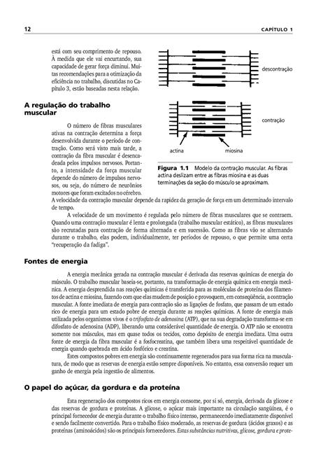 Manual de Ergonomia