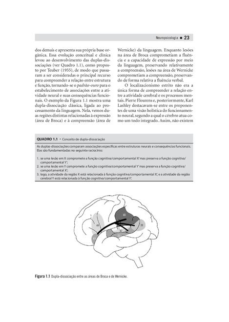 Neuropsicologia