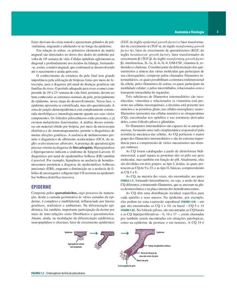 Dermatologia de Sampaio e Rivitti