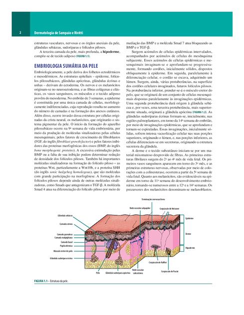 Dermatologia de Sampaio e Rivitti