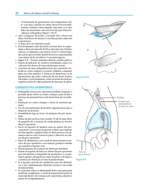 Cirurgia