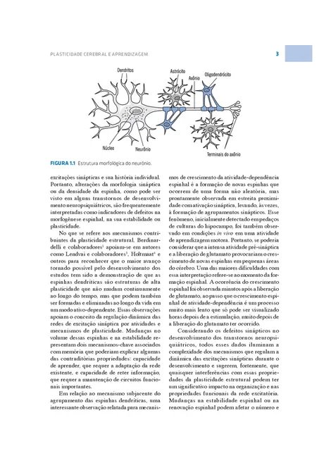 Plasticidade Cerebral e Aprendizagem