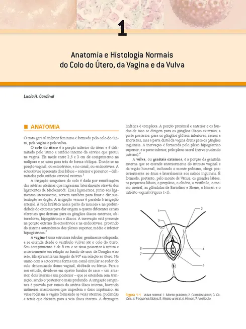 Colposcopia e Patologias do Trato Genital Inferior
