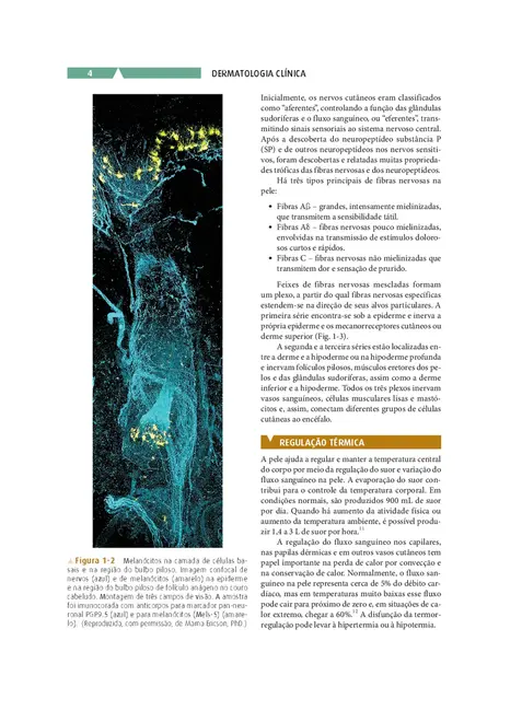 Dermatologia Clinica