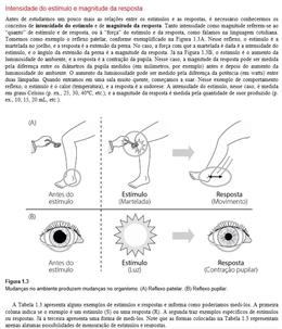 Princípios Básicos De Análise Do Comportamento