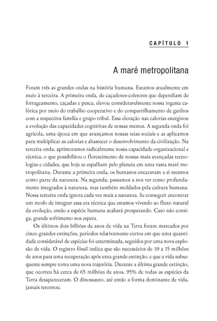 A Cidade em Harmonia