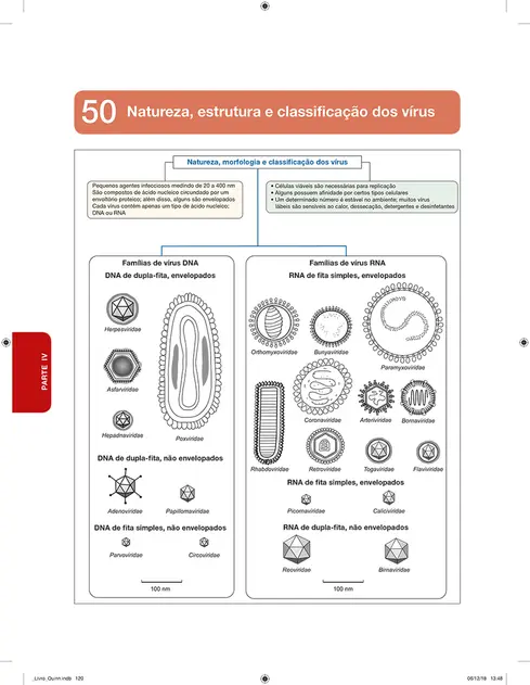 Microbiologia Veterinária