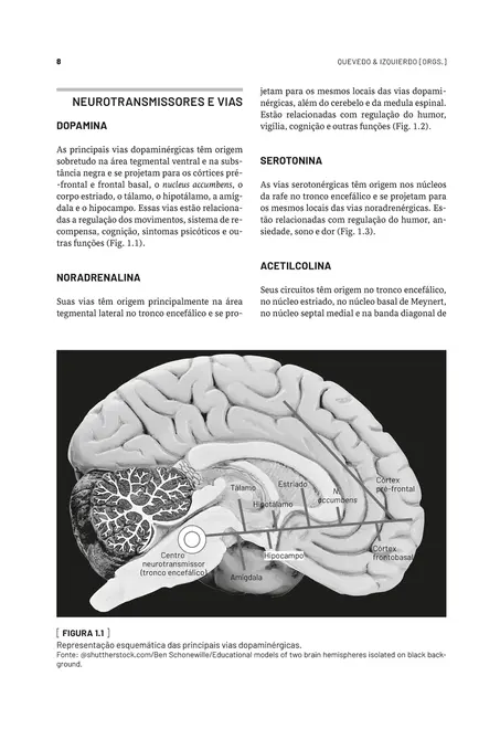 Neurobiologia dos Transtornos Psiquiátricos