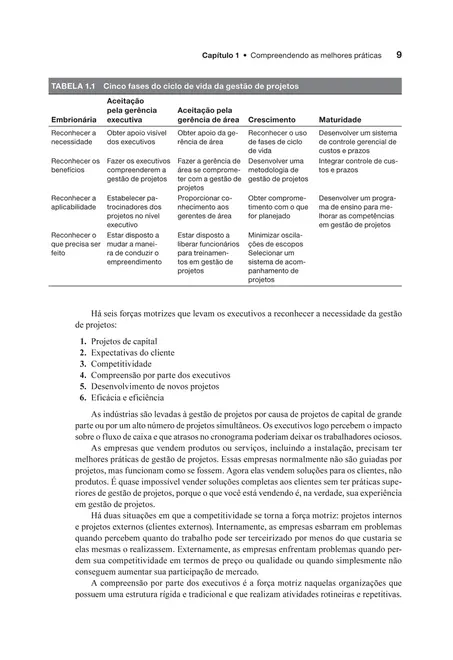 Gestão de Projetos