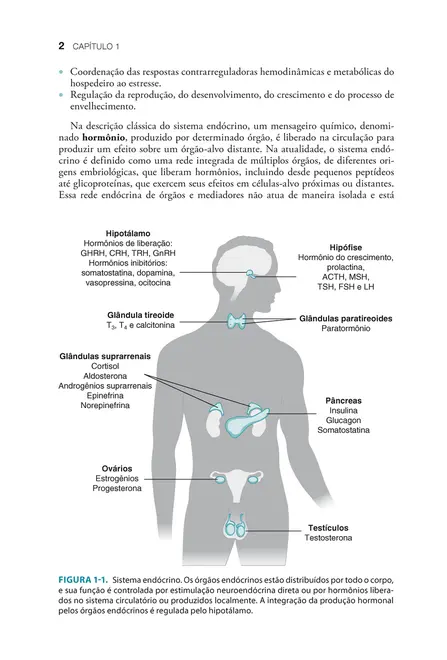 Fisiologia Endócrina