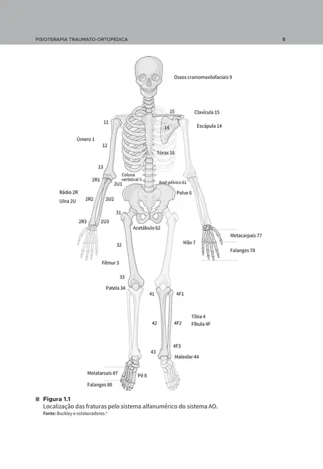 Fisioterapia traumato-ortopédica