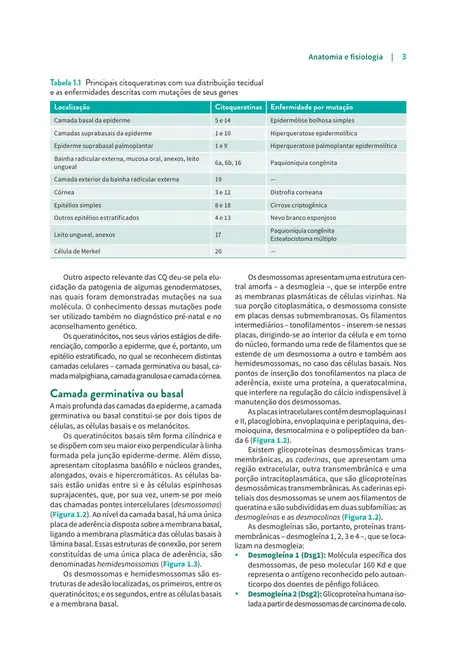 Manual de Dermatologia Clínica de Sampaio e Rivitti