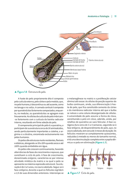 Manual de Dermatologia Clínica de Sampaio e Rivitti