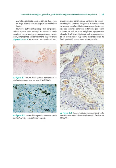 Manual de Dermatologia Clínica de Sampaio e Rivitti