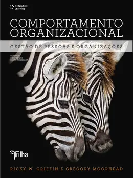 Comportamento organizacional