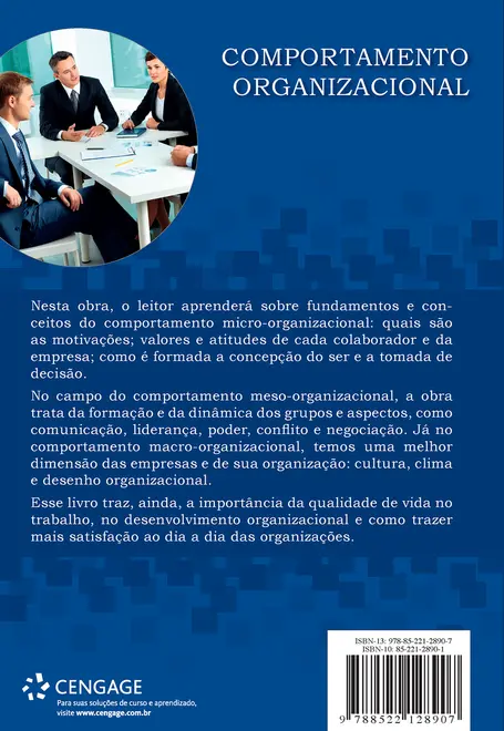 Comportamento Organizacional