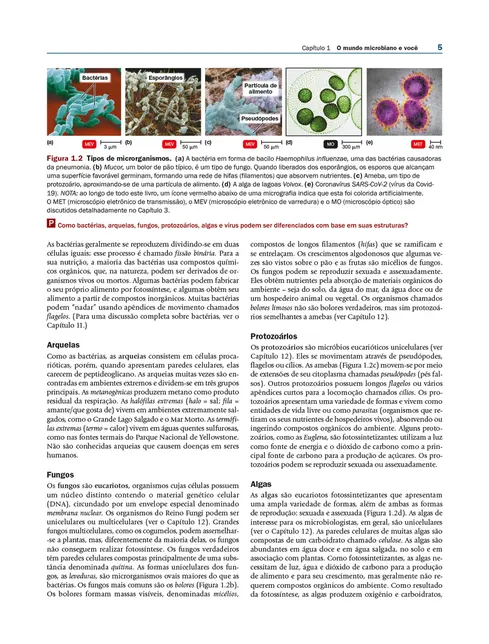Microbiologia