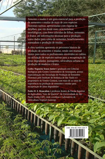 Sementes e mudas
