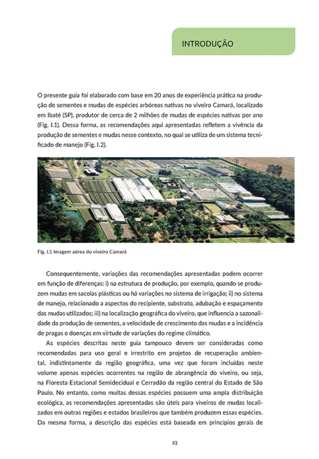 Sementes e mudas