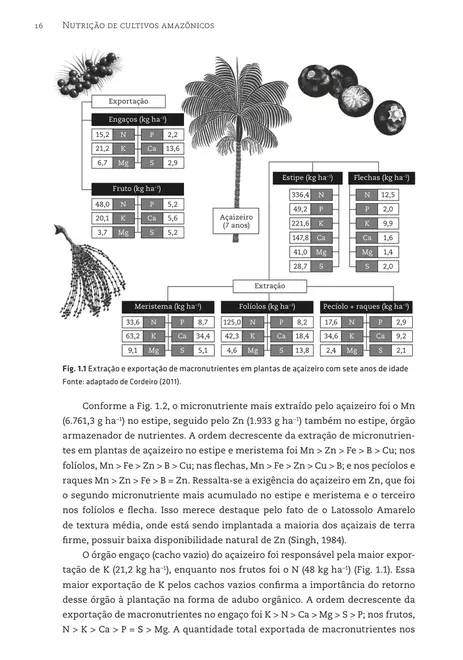 Nutrição de cultivos amazônicos