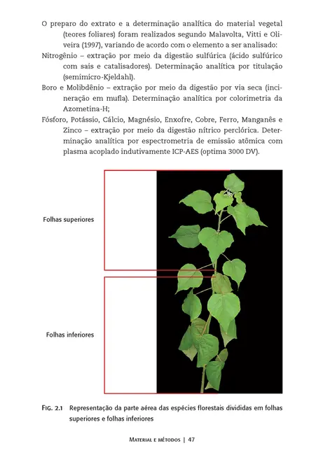 Guia de nutrição para espécies florestais nativas