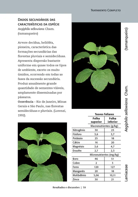 Guia de nutrição para espécies florestais nativas