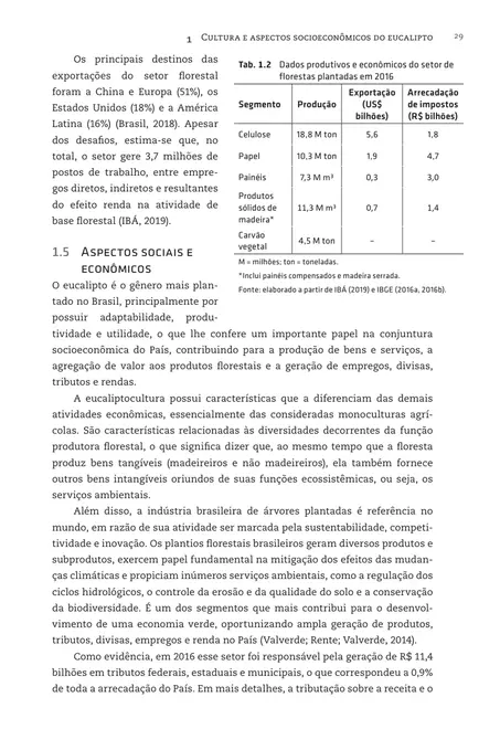 Eucalipto