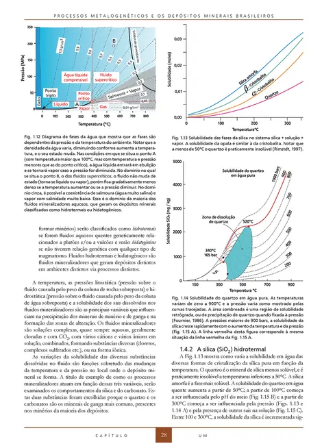 Processos metalogenéticos e os depósitos minerais brasileiros