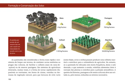 Formação e conservação dos solos