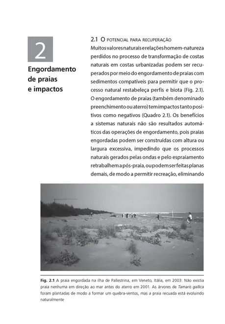 Recuperação de praias e dunas