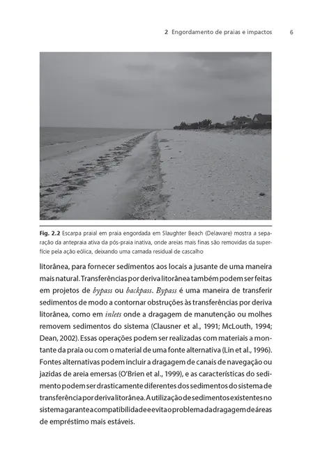 Recuperação de praias e dunas