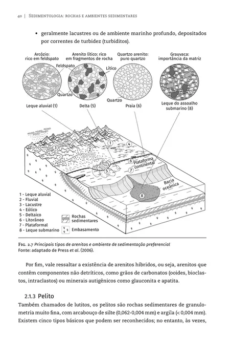 Sedimentologia: rochas e ambientes sedimentares