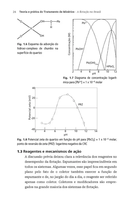 Teoria e prática do tratamento de minérios 4 - A flotação no Brasil
