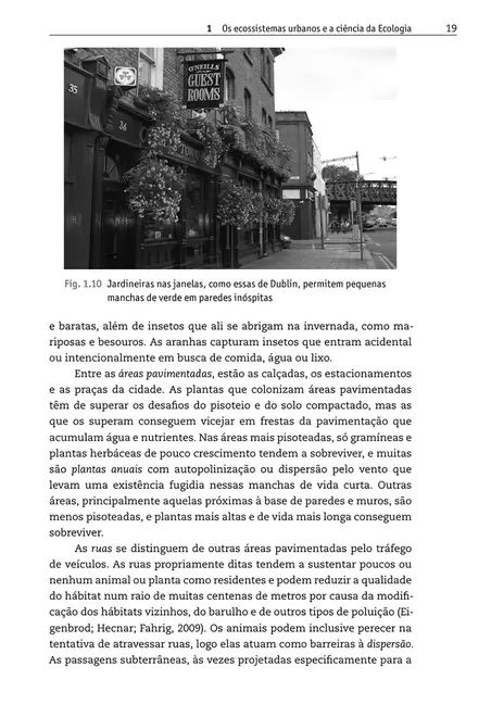 Ecossistemas urbanos