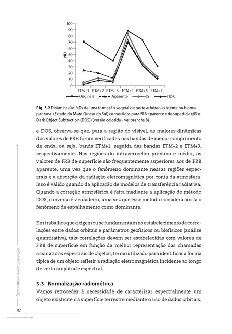 Sensoriamento remoto da vegetação