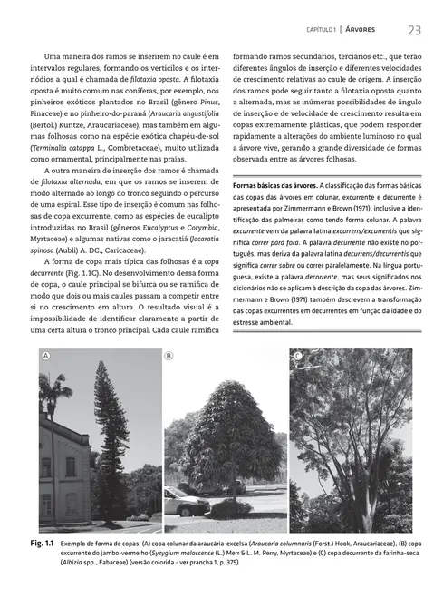 Quantificação de recursos florestais