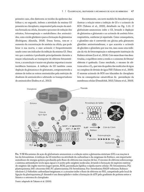 Plantas daninhas - vol.2 - herbicidas