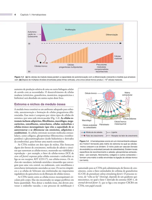 Fundamentos em hematologia de Hoffbrand 9ed.