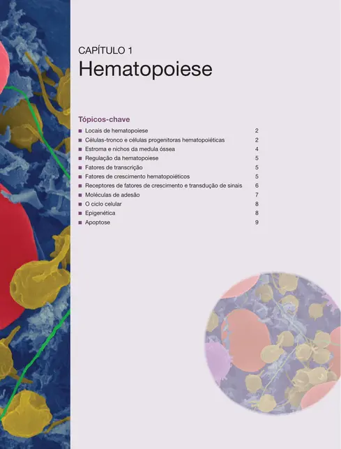 Fundamentos em hematologia de Hoffbrand 9ed.