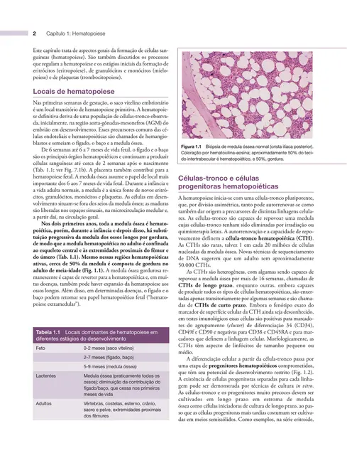 Fundamentos em hematologia de Hoffbrand 9ed.