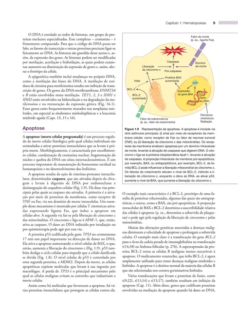 Fundamentos em hematologia de Hoffbrand 9ed.