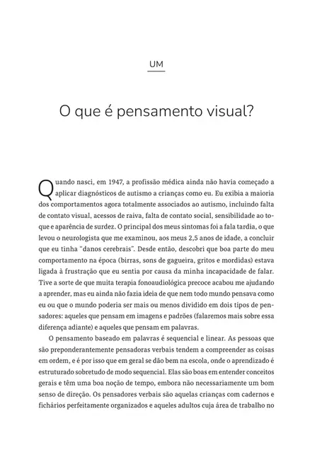 Pensamento visual