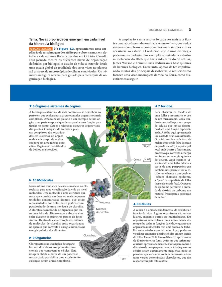 Biologia de Campbell