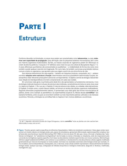 Tratado de Botânica de Strasburger
