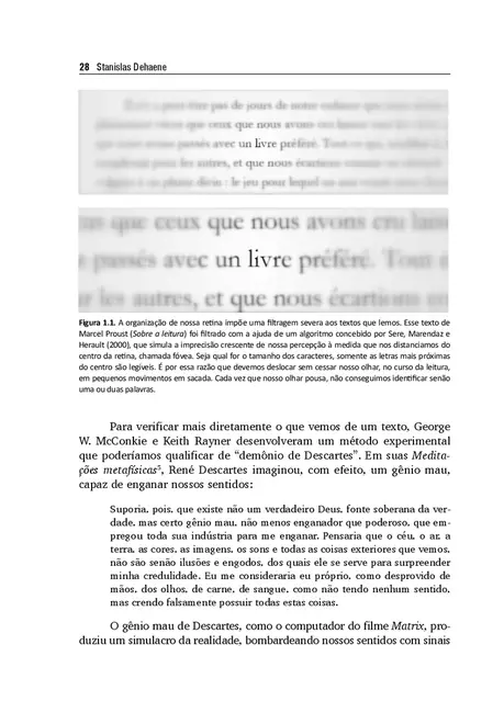 Os Neurônios da Leitura