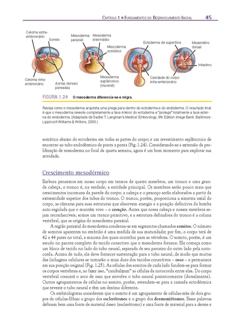 Fundamentos em Anatomia