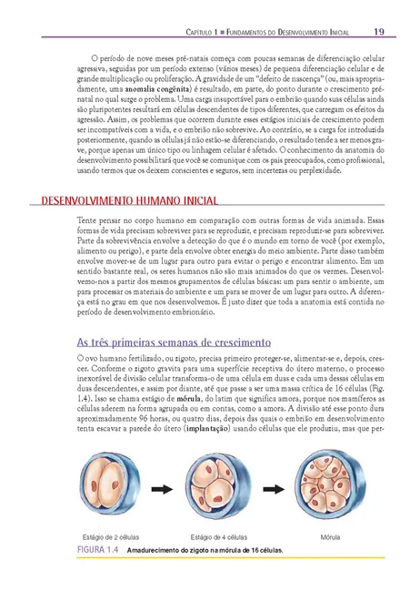 Fundamentos em Anatomia