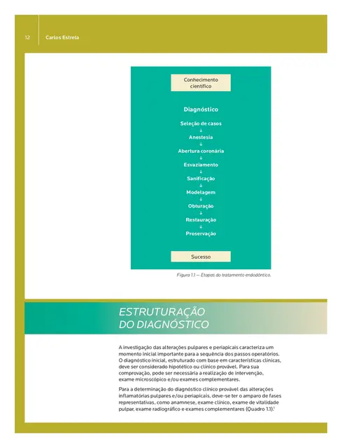 Endodontia Laboratorial e Clínica